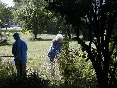 Ruth Dorrough; Julia (Judy) Dorrough